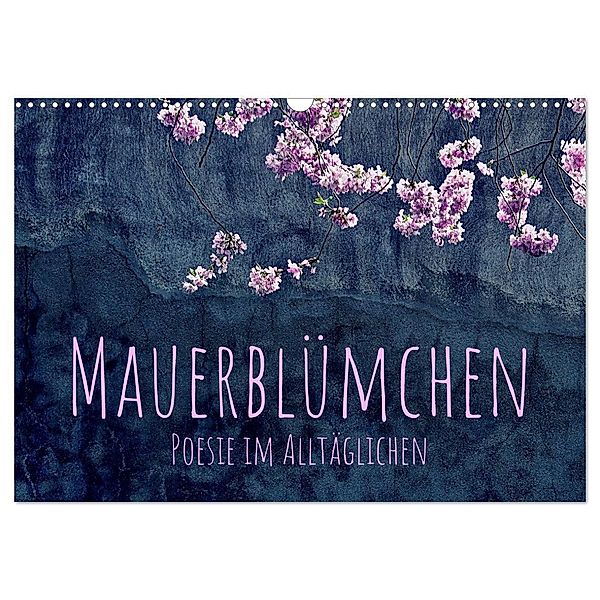 Mauerblümchen - Poesie im Alltäglichen (Wandkalender 2024 DIN A3 quer), CALVENDO Monatskalender, Kirsten d'Angelo - soulimages