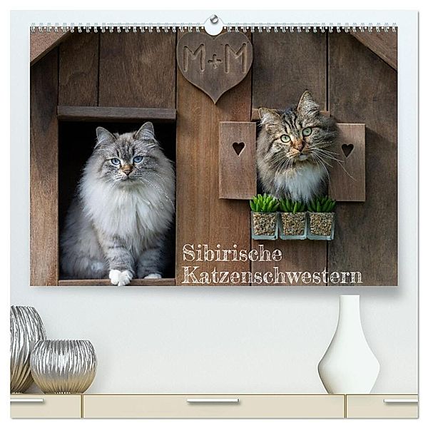Maui und Molokai - Sibirische Katzenschwestern (hochwertiger Premium Wandkalender 2025 DIN A2 quer), Kunstdruck in Hochglanz, Calvendo, Peter Danis