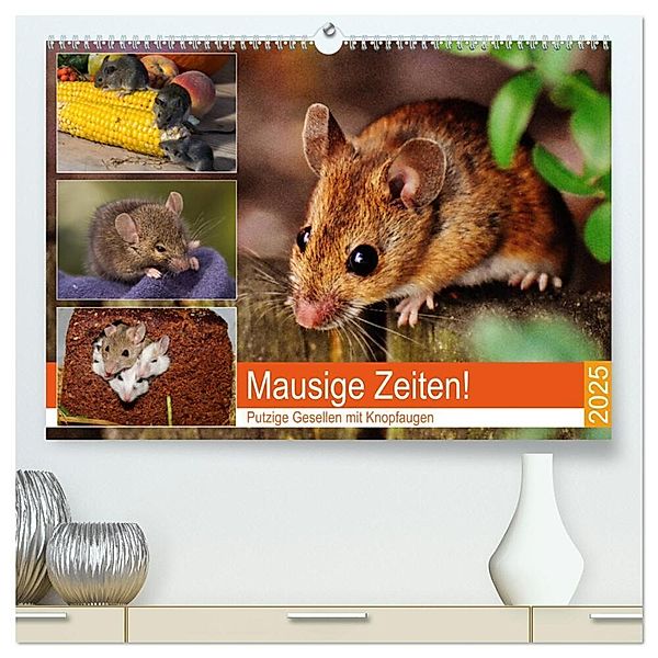 Mausige Zeiten! Putzige Gesellen mit Knopfaugen (hochwertiger Premium Wandkalender 2025 DIN A2 quer), Kunstdruck in Hochglanz, Calvendo, Rose Hurley