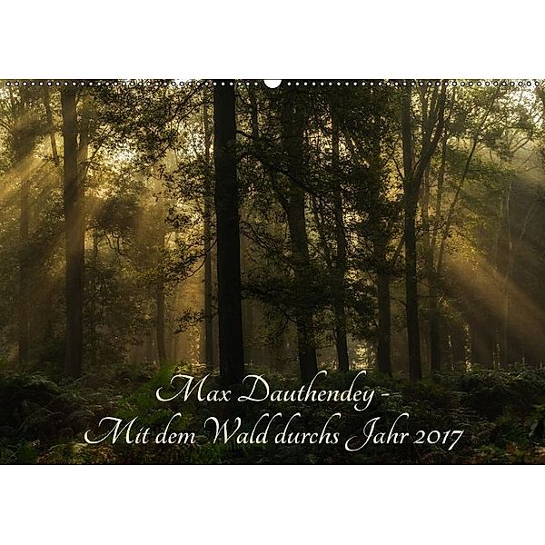 Max Dauthendey - Mit dem Wald durchs Jahr (Wandkalender 2017 DIN A2 quer), Wally