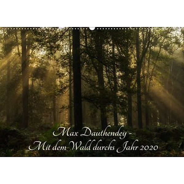 Max Dauthendey - Mit dem Wald durchs Jahr (Wandkalender 2020 DIN A2 quer)