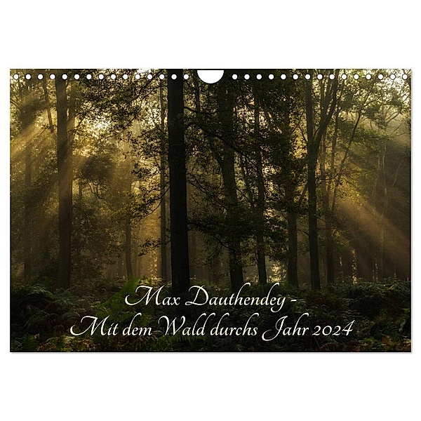 Max Dauthendey - Mit dem Wald durchs Jahr (Wandkalender 2024 DIN A4 quer), CALVENDO Monatskalender, Wally