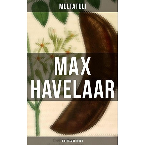 Max Havelaar (Historischer Roman), Multatuli