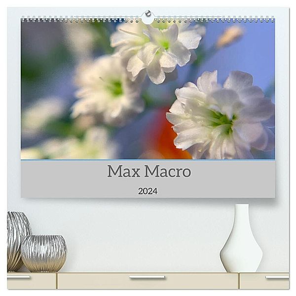 Max Macro (hochwertiger Premium Wandkalender 2024 DIN A2 quer), Kunstdruck in Hochglanz, Kai Bruchmann