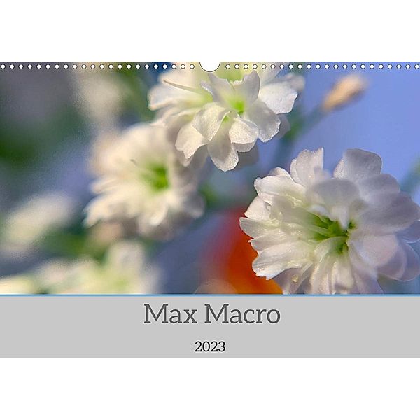 Max Macro (Wandkalender 2023 DIN A3 quer), Kai Bruchmann