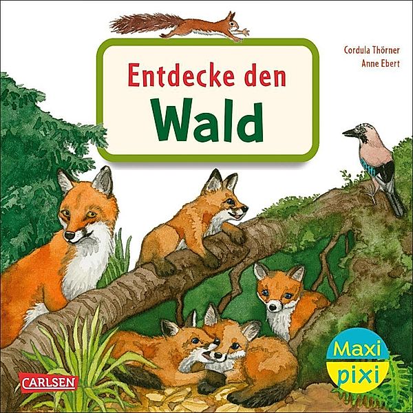 Maxi Pixi 399: VE 5 Entdecke den Wald (5 Exemplare), Cordula Thörner