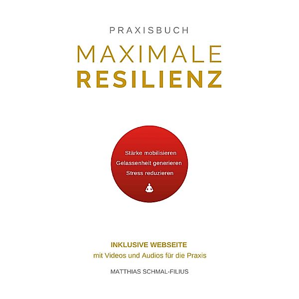 Maximale Resilienz, Matthias Schmal-Filius