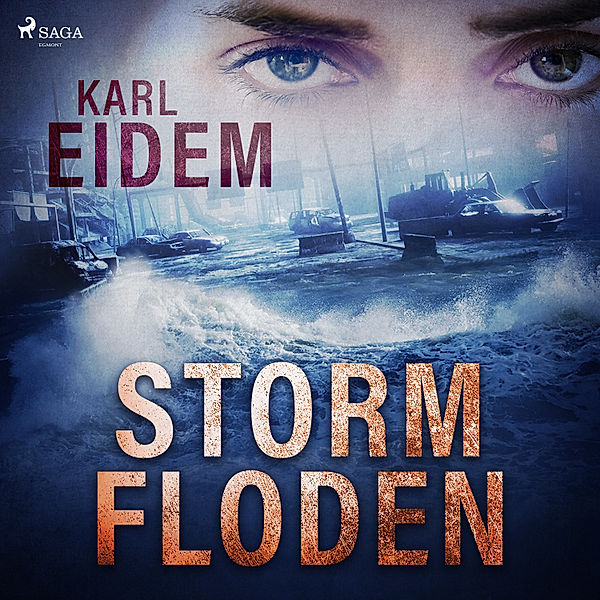 Maya Grossman - 1 - Stormfloden, Karl Eidem