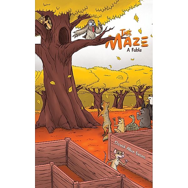 Maze / Austin Macauley Publishers LLC, David Allan Evans