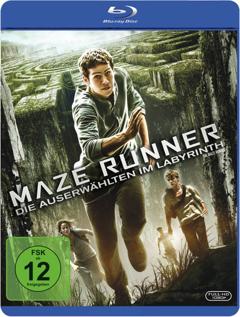 Image of Maze Runner