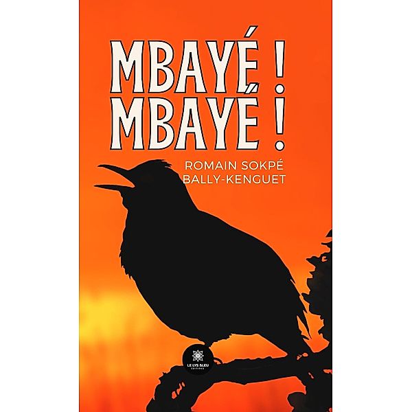 Mbayé ! Mbayé !, Romain Sokpé Bally-Kenguet