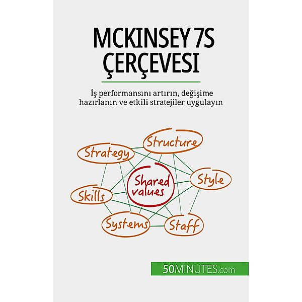 McKinsey 7S çerçevesi, Anastasia Samygin-Cherkaoui