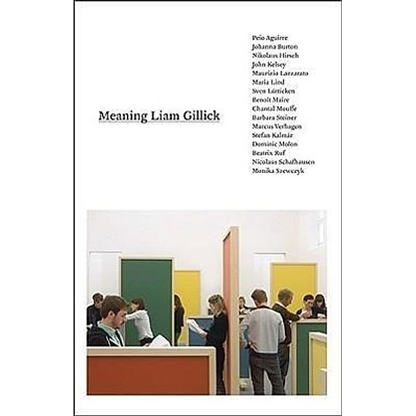 Meaning Liam Gillick, Liam Gillick