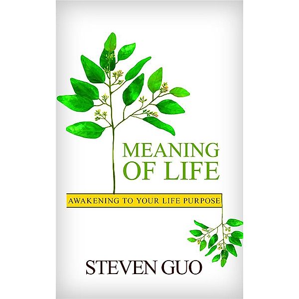 Meaning Of Life, Steven Guo