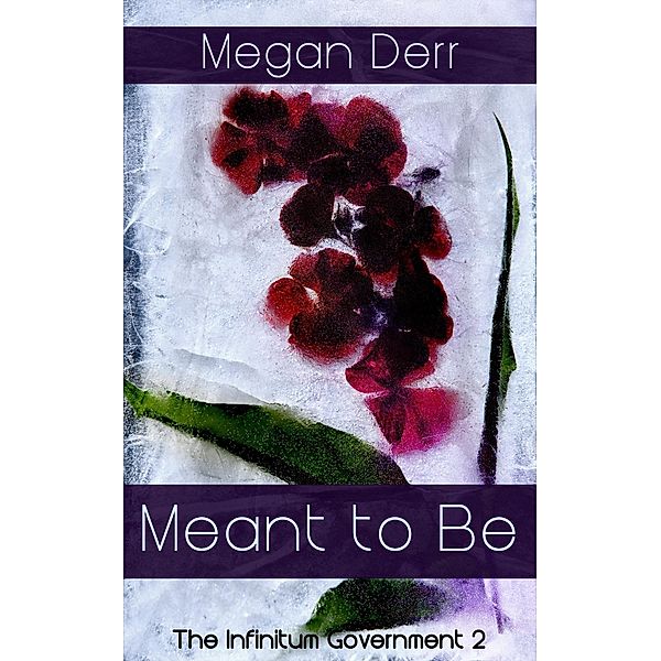 Meant to Be (Infinitum Government, #2) / Infinitum Government, Megan Derr