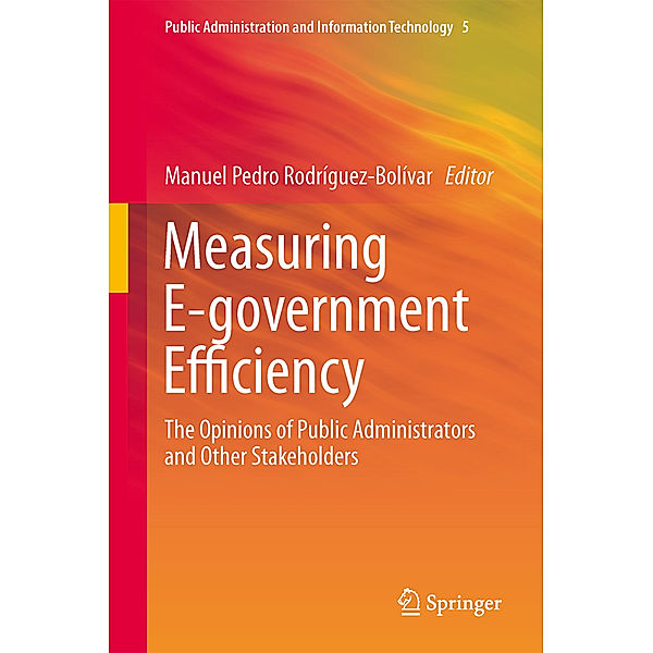 Measuring E-government Efficiency