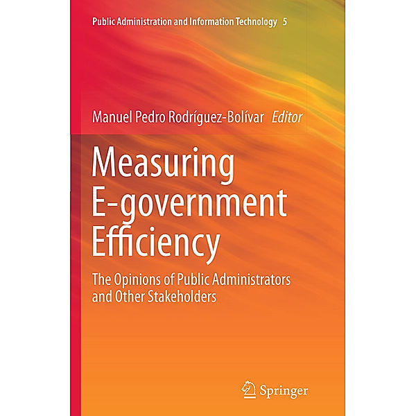 Measuring E-government Efficiency