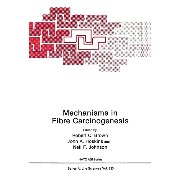 Mechanisms in Fibre Carcinogenesis / NATO Science Series A: Bd.223