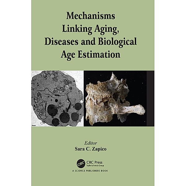 Mechanisms Linking Aging, Diseases and Biological Age Estimation