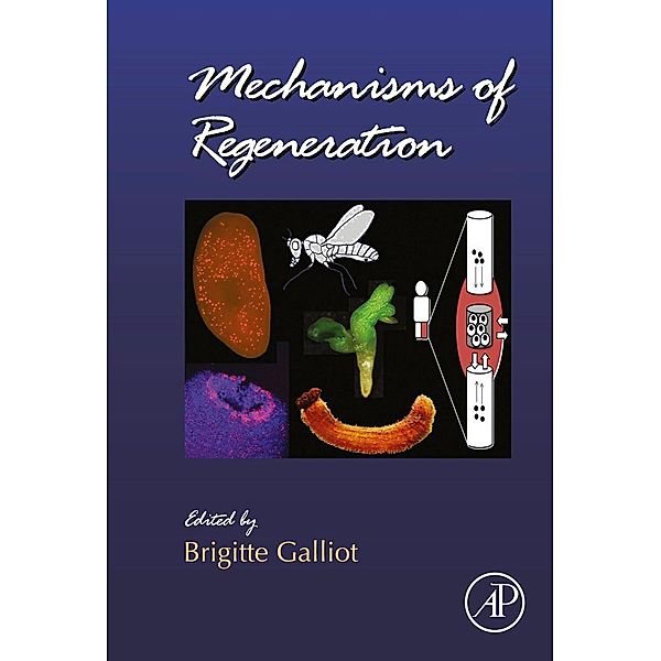 Mechanisms of Regeneration