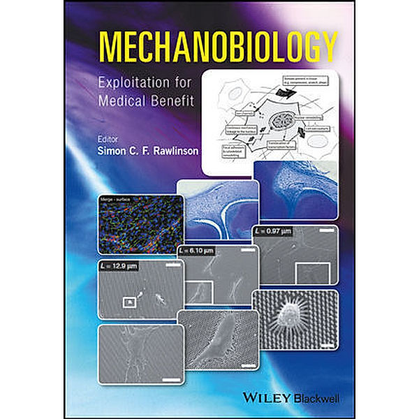 Mechanobiology, Simon Rawlinson