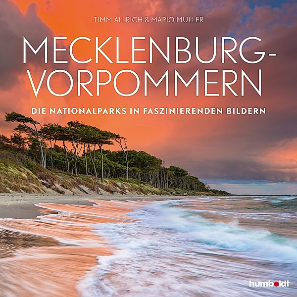 Mecklenburg-Vorpommern, Timm Allrich, Mario Müller