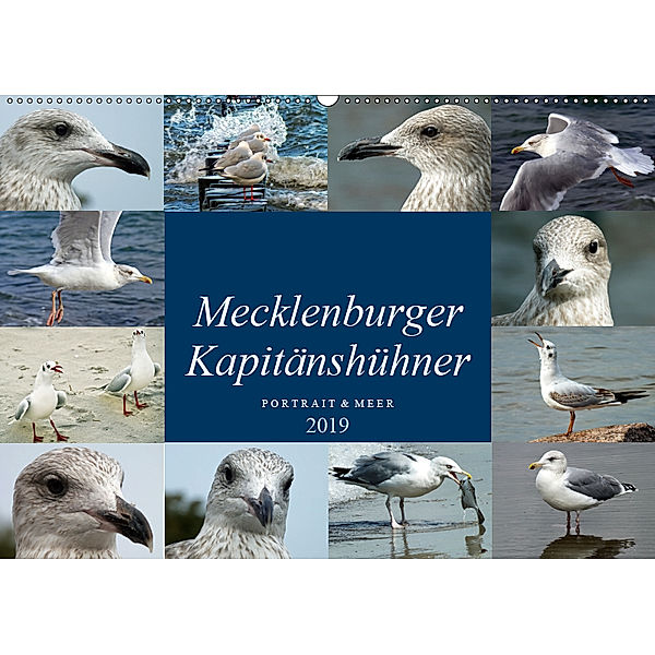 Mecklenburger Kapitänshühner (Wandkalender 2019 DIN A2 quer), Holger Felix