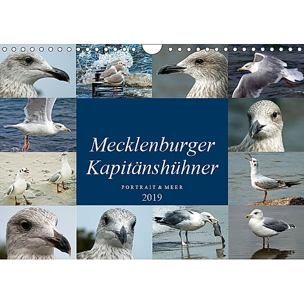 Mecklenburger Kapitänshühner (Wandkalender 2019 DIN A4 quer), Holger Felix