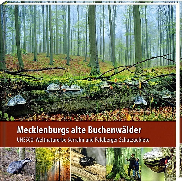 Mecklenburgs alte Buchenwälder, Klaus Borrmann