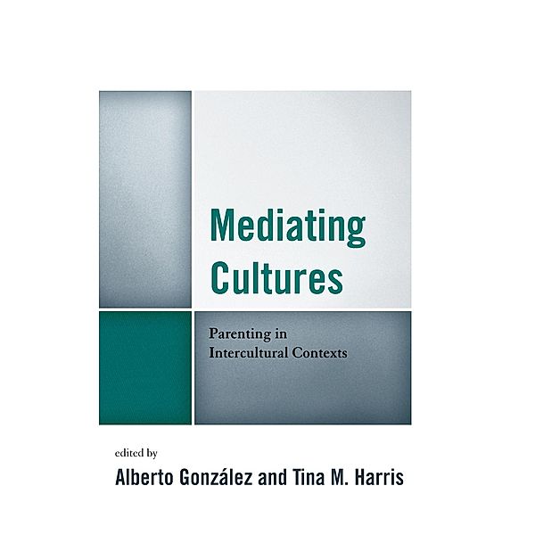 Mediating Cultures