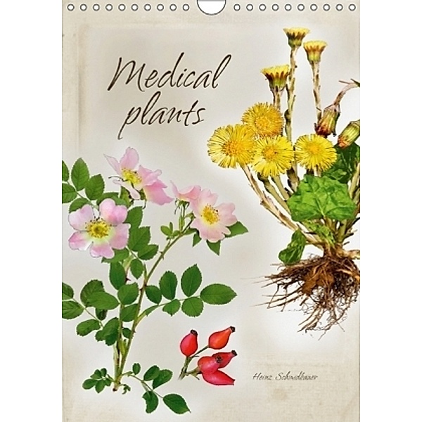 Medical plants (Wall Calendar 2017 DIN A4 Portrait), Heinz Schmidbauer