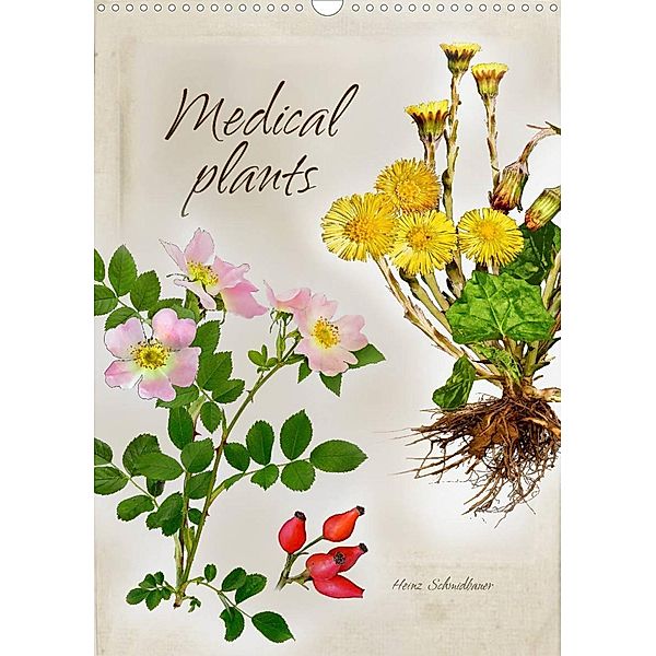 Medical plants (Wall Calendar 2023 DIN A3 Portrait), Heinz Schmidbauer