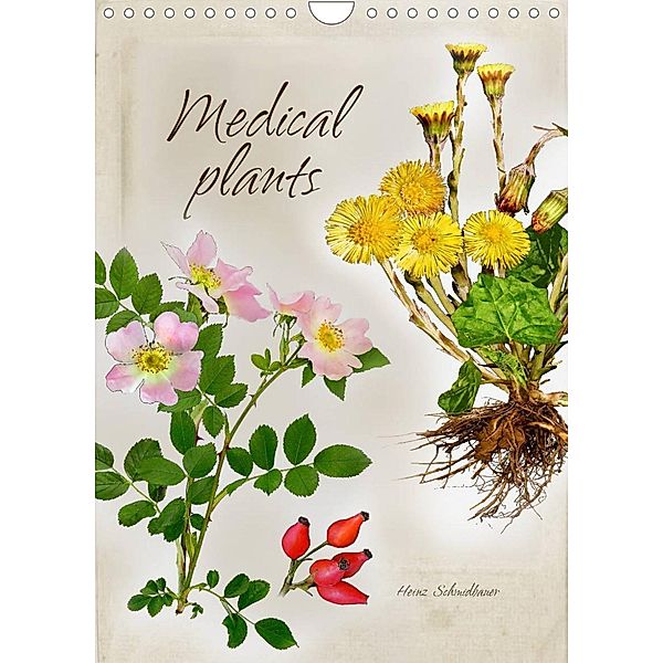 Medical plants (Wall Calendar 2023 DIN A4 Portrait), Heinz Schmidbauer