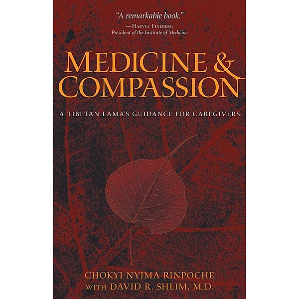 Medicine and Compassion, Chokyi Nyima, David R Shlim