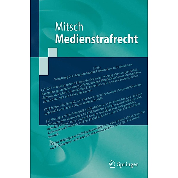 Medienstrafrecht / Springer-Lehrbuch, Wolfgang Mitsch