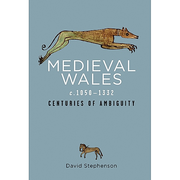 Medieval Wales c.1050-1332 / Rethinking the History of Wales, David Stephenson
