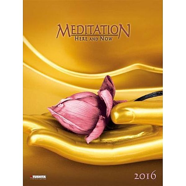 Meditation 2016