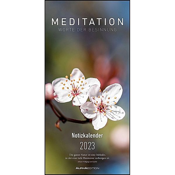 Meditation 2023 - Streifenplaner 22 x45 cm - mit einer Spalte für Eintragungen und einer für Geburtstage - Familienkalen