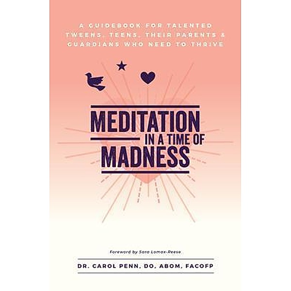 Meditation in a Time of Madness Journal / Purposely Created Publishing Group, Carol Penn
