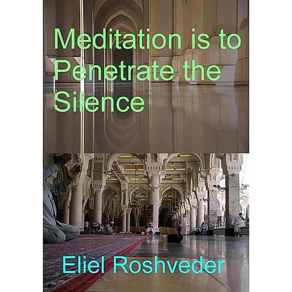 Meditation is to Penetrate the Silence (Prophecies and Kabbalah, #11) / Prophecies and Kabbalah, Eliel Roshveder