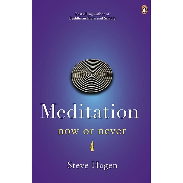 Meditation Now or Never, Steve Hagen