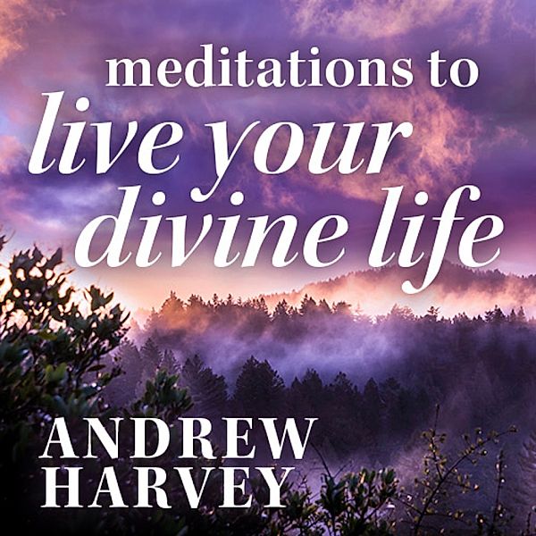 Meditations to Live Your Divine Life, Andrew Harvey