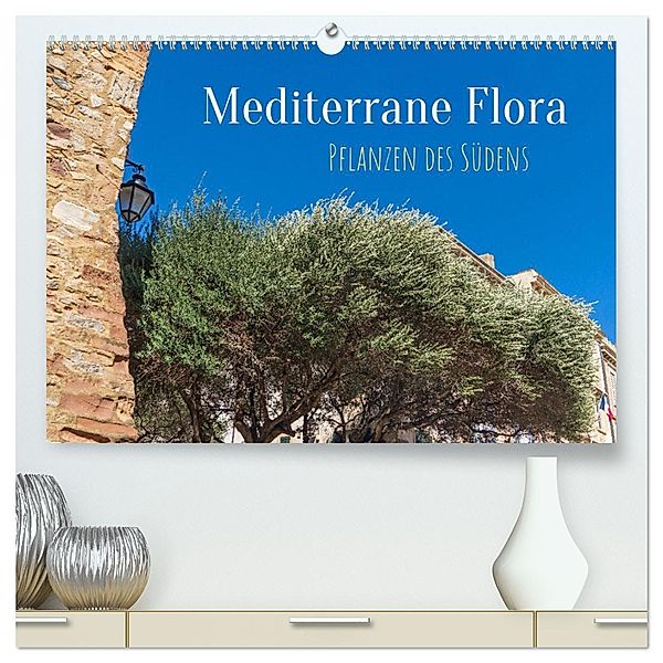 Mediterrane Flora - Pflanzen des Südens (hochwertiger Premium Wandkalender 2025 DIN A2 quer), Kunstdruck in Hochglanz, Calvendo, Elisabeth Schittenhelm