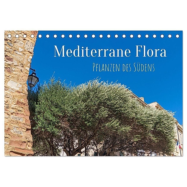 Mediterrane Flora - Pflanzen des Südens (Tischkalender 2024 DIN A5 quer), CALVENDO Monatskalender, Elisabeth Schittenhelm