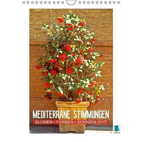 Mediterrane Stimmungen Blumen, Farben, Sonnenlicht (Wandkalender 2015 DIN A4 hoch), Calvendo