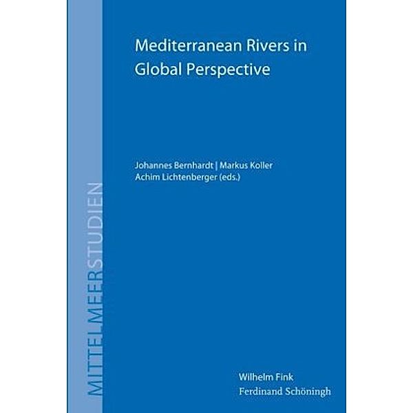 Mediterranean Rivers in Global Perspective