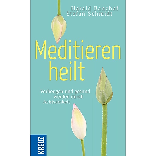 Meditieren heilt, Harald Banzhaf, Stefan Schmidt