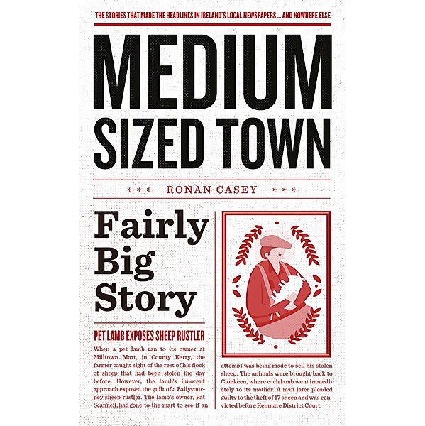 Medium-Sized Town, Fairly Big Story - Hilarious Stories from Ireland, Ronan Casey