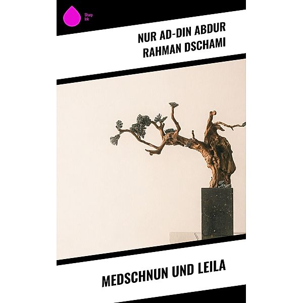 Medschnun und Leila, Nur ad-Din Abdur Rahman Dschami