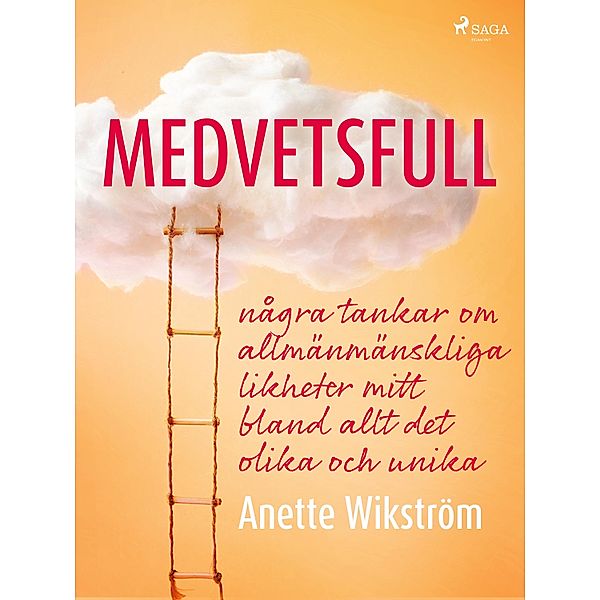 Medvetsfull: några tankar om allmänmänskliga likheter mitt bland allt det olika och unika, Anette Wikström